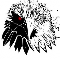 pkfalcon